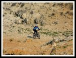 IMG_0613.jpg