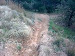 21022009_011.jpg