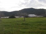 2009-02-21 MTB 04.jpg