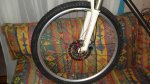DSC01309.jpg