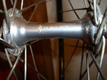 DSC00223.jpg