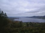 S4010043.jpg