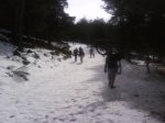 DSC00029.jpg