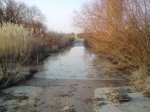 dsc00119bm6.jpg