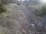 Foto0079.jpg