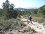 DSCF0774.jpg