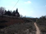 DSCF0786.jpg