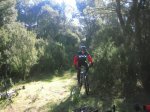CORRIOLS TRENCADUR-CABRETA 022.jpg