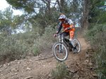 DSC02850.jpg