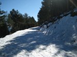 Foto 003.JPG