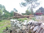 Imagen003.jpg