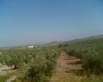 Imagen026.jpg