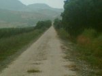 Imagen033.jpg