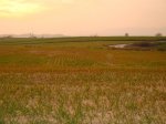 DSC00428.jpg