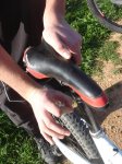 2009-02-22 MTB Enduro 04.jpg