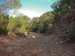 2009-02-22 MTB Enduro 19.jpg