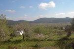 2009-02-22 MTB Enduro 40.jpg