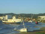 DSC01413.JPG