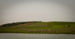 DSCN2717.jpg