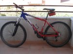 DSC05515.jpg