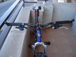 DSC05517.jpg