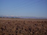 IMG_0802.jpg