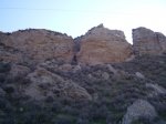 IMG_0828.jpg