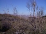 IMG_0841.jpg