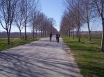 IMG_0867.jpg
