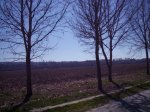 IMG_0869.jpg