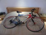 one_bike[1].jpg