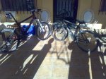 14022009308.jpg
