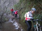 DSCN0610.jpg