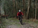 DSC00635.jpg