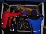 DSC00184.jpg