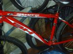 23022009257.jpg