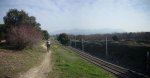 Panorama 8 (Medium).JPG