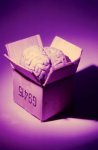 cerebro3.jpg