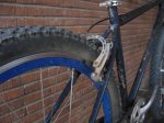 rear web.jpg