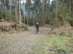 DSC01879.jpg