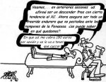 fenasosa.JPG