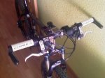 IMAG0048.jpg