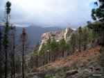 DSCN8368.JPG