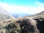 100_1256.jpg