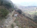 100_1297.jpg