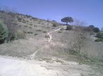 IMG00568.jpg
