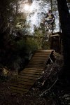 _D229063.jpg