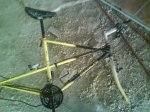 DSC00117.jpg