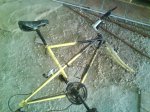 DSC00118.jpg