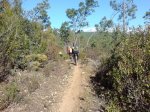 DSC01097.jpg